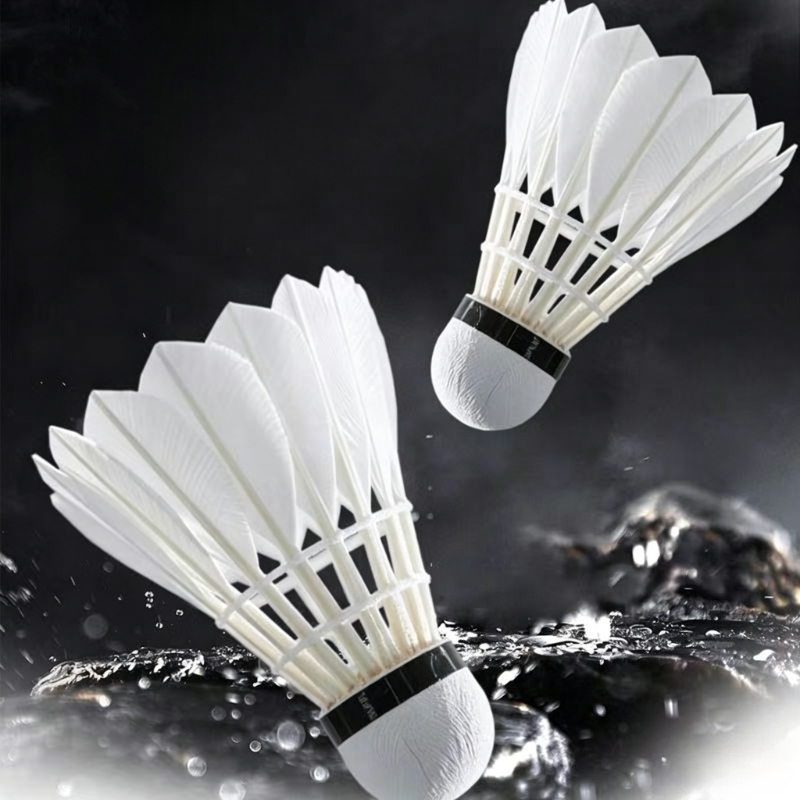 ลูกขนไก่แบดมินตันขนห่านคุณภาพพ - Feather Shuttlecock บทวิจารณ์และราคา